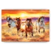 Schilderen op nummer – Prachtige paarden in een veld – SEOS Shop ®