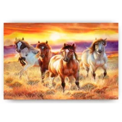 Schilderen op nummer – Prachtige paarden in een veld – SEOS Shop ®