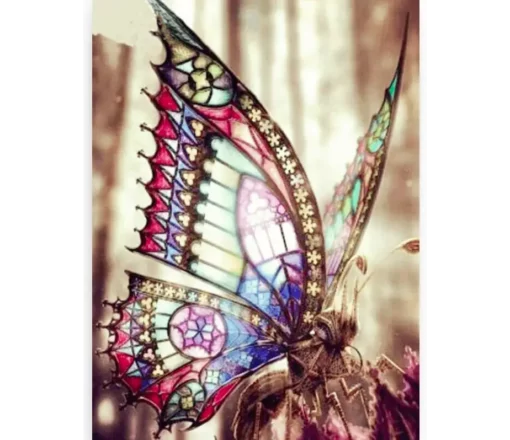 Schilderen op nummer – Prachtige vlinder in de zon – SEOS Shop ®