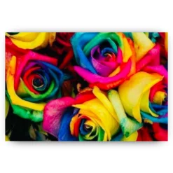 Schilderen op nummer – Regenboog Rozen – SEOS Shop ®
