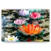 Schilderen op nummer – Roze en oranje lelies – SEOS Shop ®