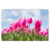 Schilderen op nummer – Roze tulpen – SEOS Shop ®