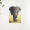 Schilderen op nummer – Safari Olifant met slagtanden – SEOS Shop ®