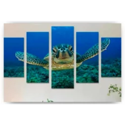 Schilderen op nummer – Schildpad in de zee 5 luik – SEOS Shop ®