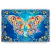 Schilderen op nummer – Vlinder Blauw – SEOS Shop ®