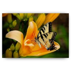 Schilderen op nummer – Vlinder in een bloem – SEOS Shop ®