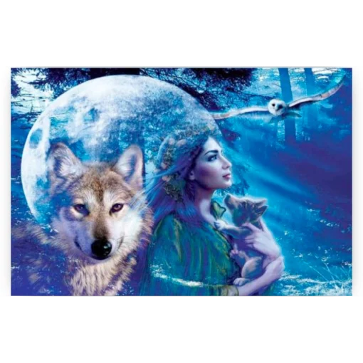 Schilderen op nummer – Vrouw met Wolf en Uil – SEOS Shop ®