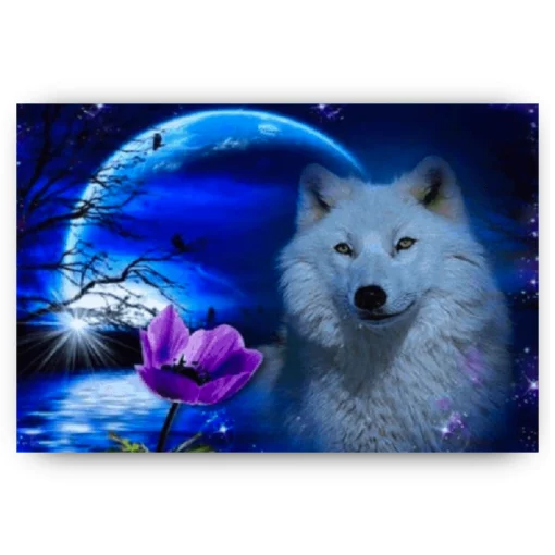 Schilderen op nummer – Wolf met roos – SEOS Shop ®