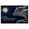 Schilderen op nummer – Wolven met maan – SEOS Shop ®
