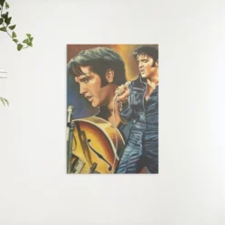Schilderen op nummer – Zingende Elvis Presley – SEOS Shop ®