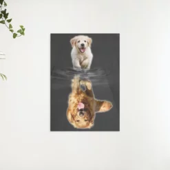 Schilderen op nummer – Labrador van pup naar volwassen – SEOS Shop ®
