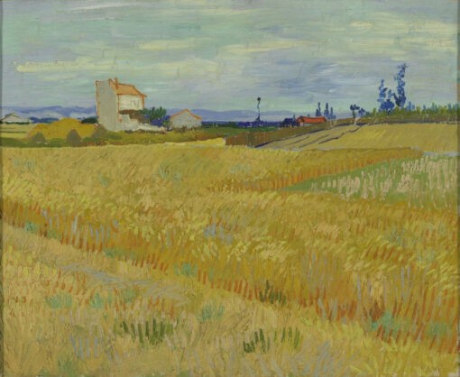 Korenveld | Van Gogh