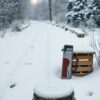 Winterse Boswandeling, Dampende Thee