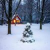 Warm winterlicht op besneeuwde bomen