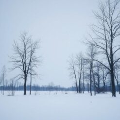 Winterse Stilte in Blauw en Grijs