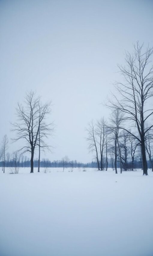 Winterse Stilte in Blauw en Grijs