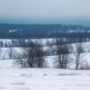 Winterse velden in blauw grijs