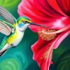 Kolibri in bloeiende hibiscus tuin