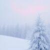 Zachte sneeuwval in winterlicht