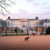 Schönbrunn: Dierentuin in ochtendgloren