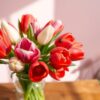 Romantische Tulpen in Vaas