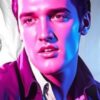 Elvis: Neon Koning op Nummer
