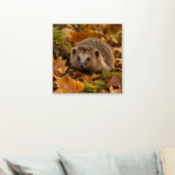 Egel tussen herfstbladeren met grote vlakken als sfeerimpressie aan de muur