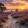 3 luik paarse heide bij zonsopkomst schilderen op nummer
