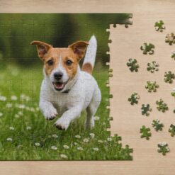 Half gelegde fotopuzzel van een jack russell in het gras, met losse stukjes ernaast