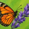 Schilderen op nummer oranje vlinder op paarse lavendel