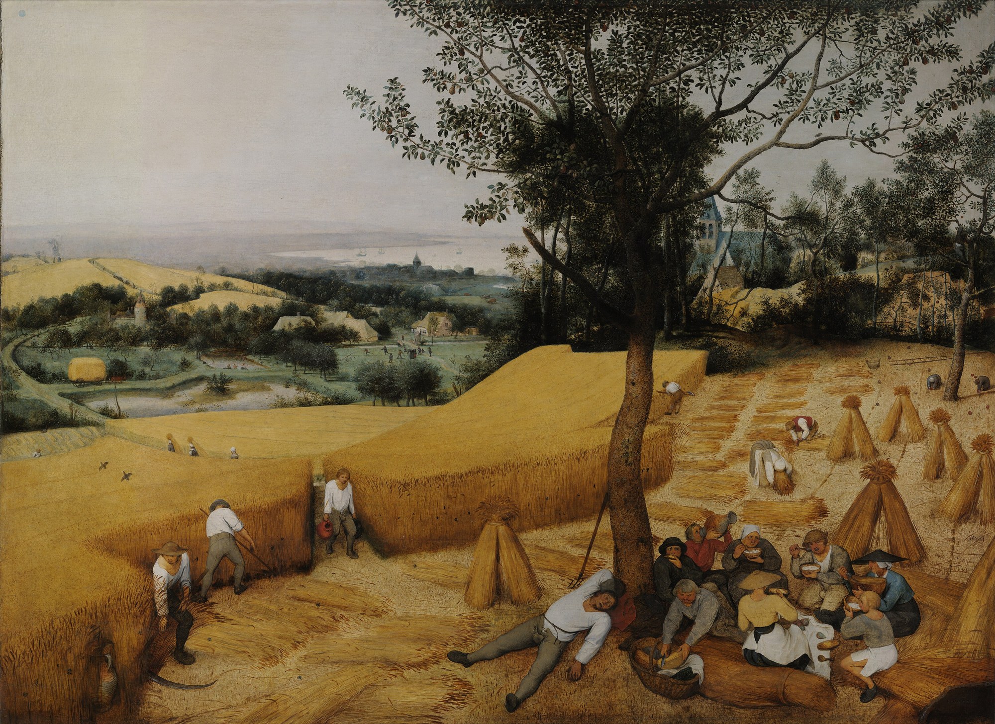 De korenoogst van Pieter Bruegel de Oude: boeren maaien graan en eten onder een perenboom, met een weids zomerlandschap tot aan de zee