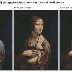 Benadering van Dame met de hermelijn van Leonardo da Vinci met 24 en 36 verfkleuren