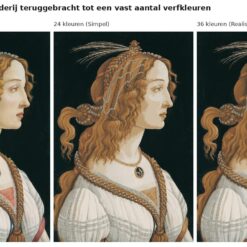 Benadering van Portret van een jonge vrouw van Botticelli met 24 en 36 verfkleuren