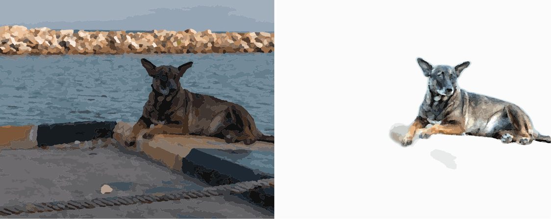 Digitaal proefresultaat van de donkere hond aan het water: rechts na bewerking aanzienlijk meer vakjes op de vacht