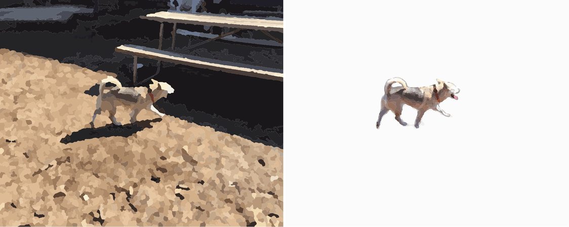 Digitaal proefresultaat van de witte hond op het terras: rechts na uitsnijden een veel leger beeld