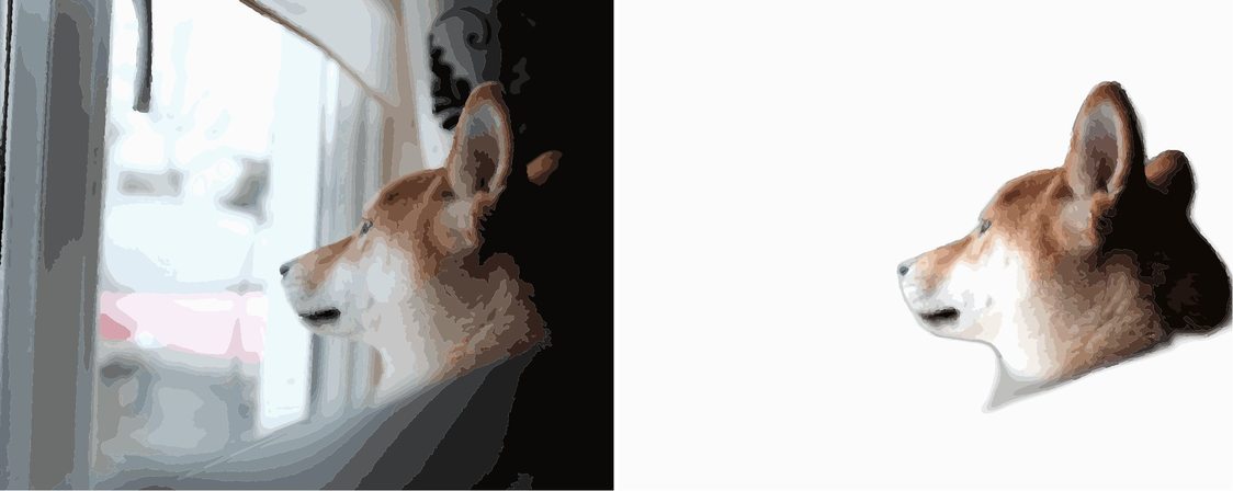 Digitaal proefresultaat van de hond bij het raam: rechts na bewerking meer vakjes op het gezicht