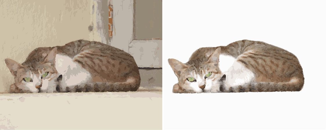 Digitaal proefresultaat van de kat tegen de kale muur, links origineel en rechts na AI-voorbeewerking